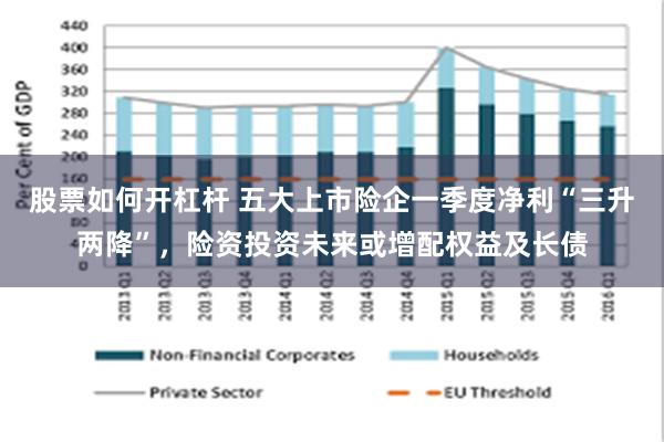 股票如何开杠杆 五大上市险企一季度净利“三升两降”，险资投资未来或增配权益及长债