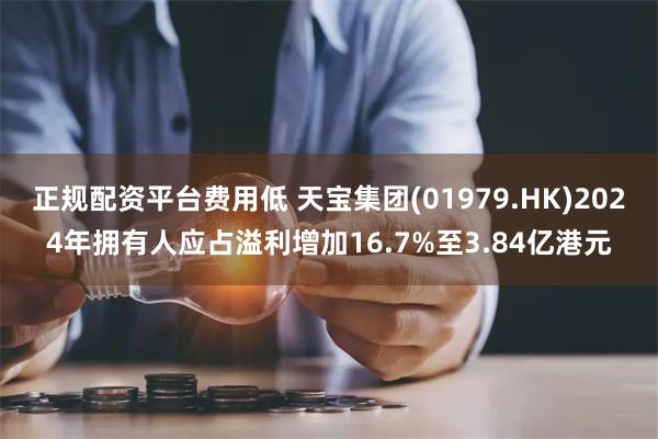正规配资平台费用低 天宝集团(01979.HK)2024年拥有人应占溢利增加16.7%至3.84亿港元