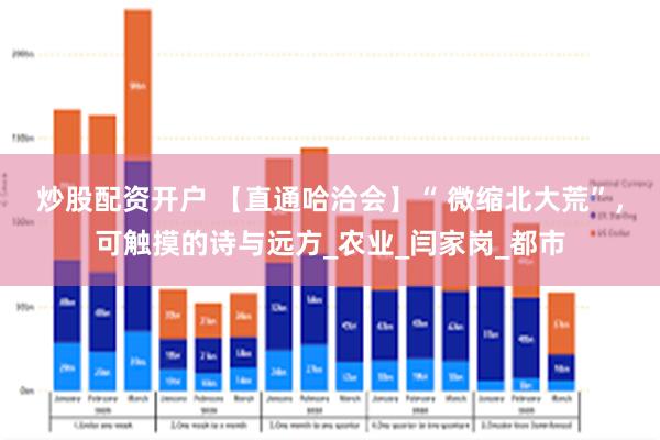 炒股配资开户 【直通哈洽会】“ 微缩北大荒”，可触摸的诗与远方_农业_闫家岗_都市