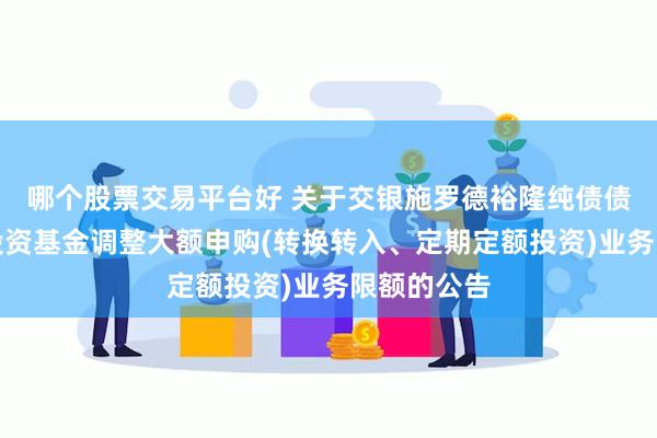 哪个股票交易平台好 关于交银施罗德裕隆纯债债券型证券投资基金调整大额申购(转换转入、定期定额投资)业务限额的公告