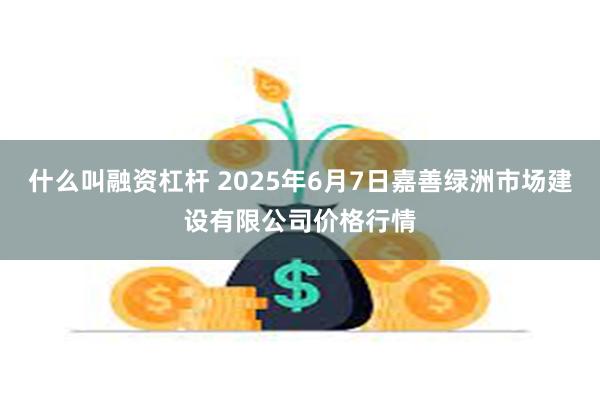 什么叫融资杠杆 2025年6月7日嘉善绿洲市场建设有限公司价格行情